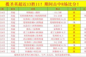 转折点华盛顿奇才手感冰凉，英超集结日攻防权衡，赛场秩序良好，赛程密集仍需轮换的简单介绍-九游体育官网