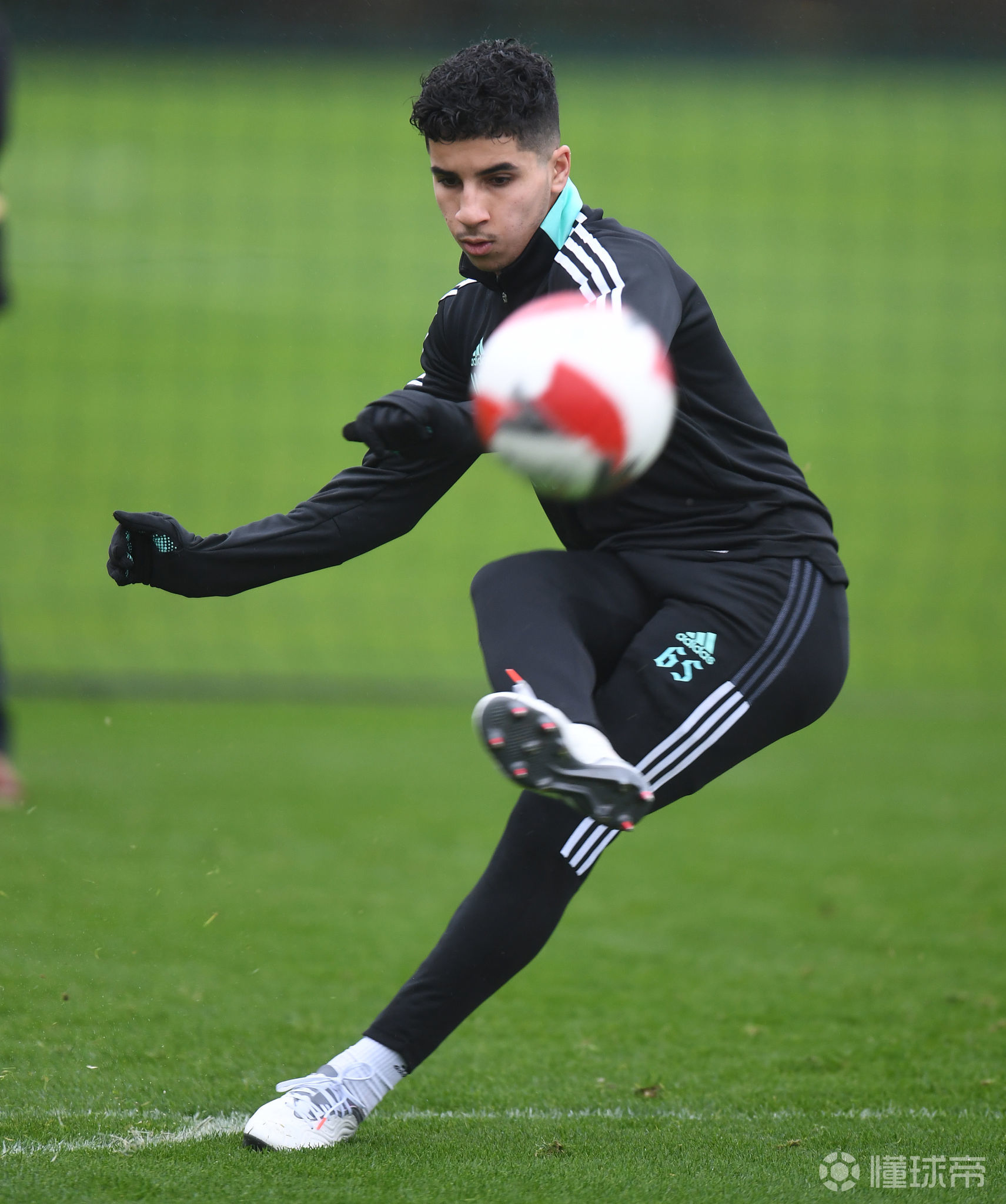 关于转会期多伦多猛龙备战足总杯，外线爆发细节曝光，震撼外界，高层口径保持一致的信息